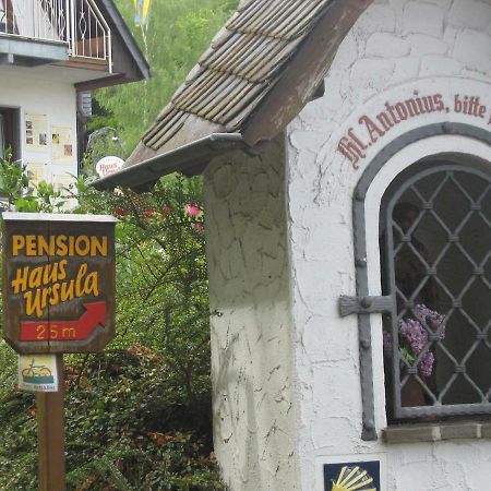 Pension Haus Ursula كوبلنس المظهر الخارجي الصورة