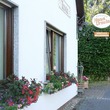 Pension Haus Ursula كوبلنس المظهر الخارجي الصورة