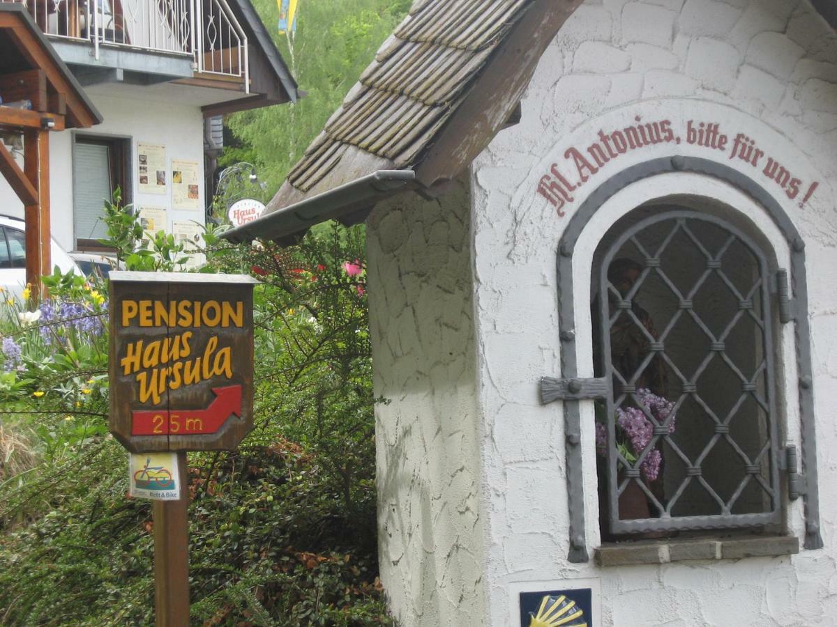 Pension Haus Ursula كوبلنس المظهر الخارجي الصورة