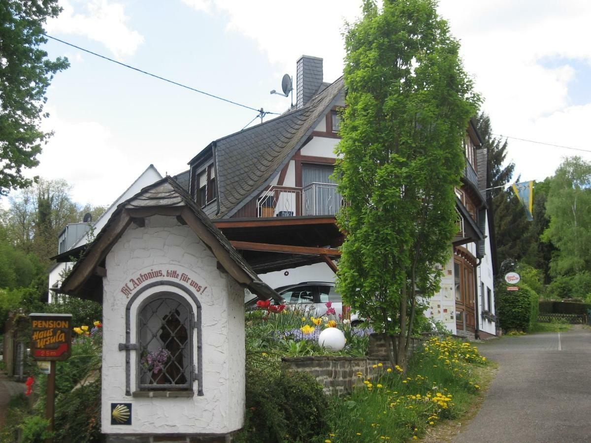 Pension Haus Ursula كوبلنس المظهر الخارجي الصورة