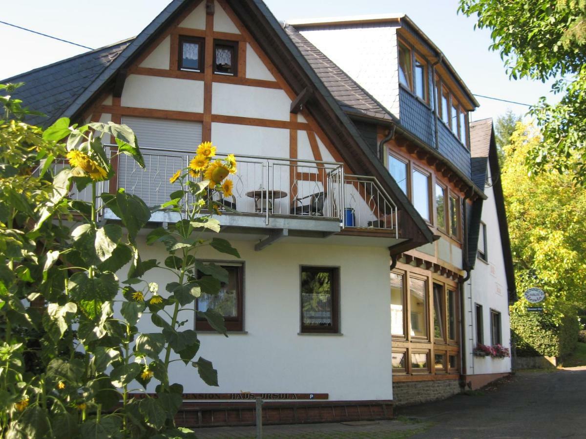 Pension Haus Ursula كوبلنس المظهر الخارجي الصورة