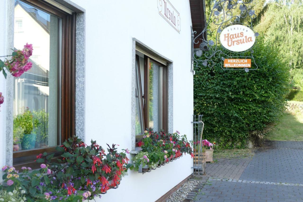 Pension Haus Ursula كوبلنس المظهر الخارجي الصورة